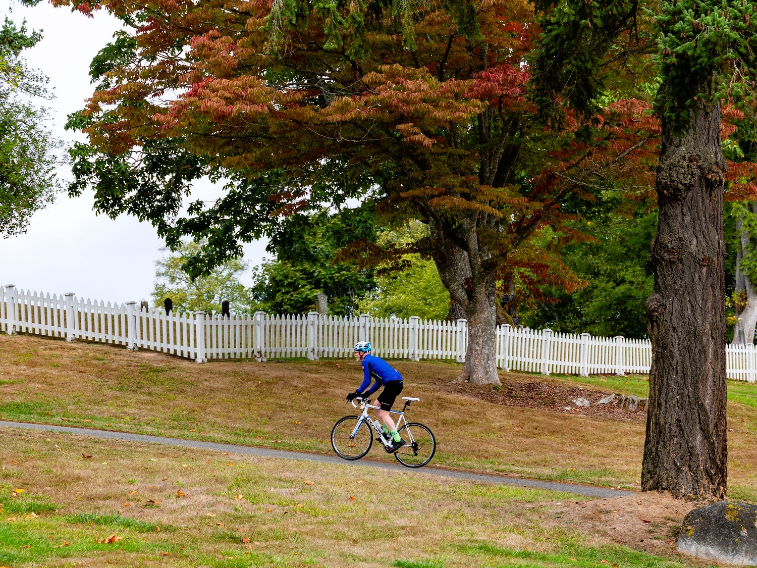 Go ride this fall!