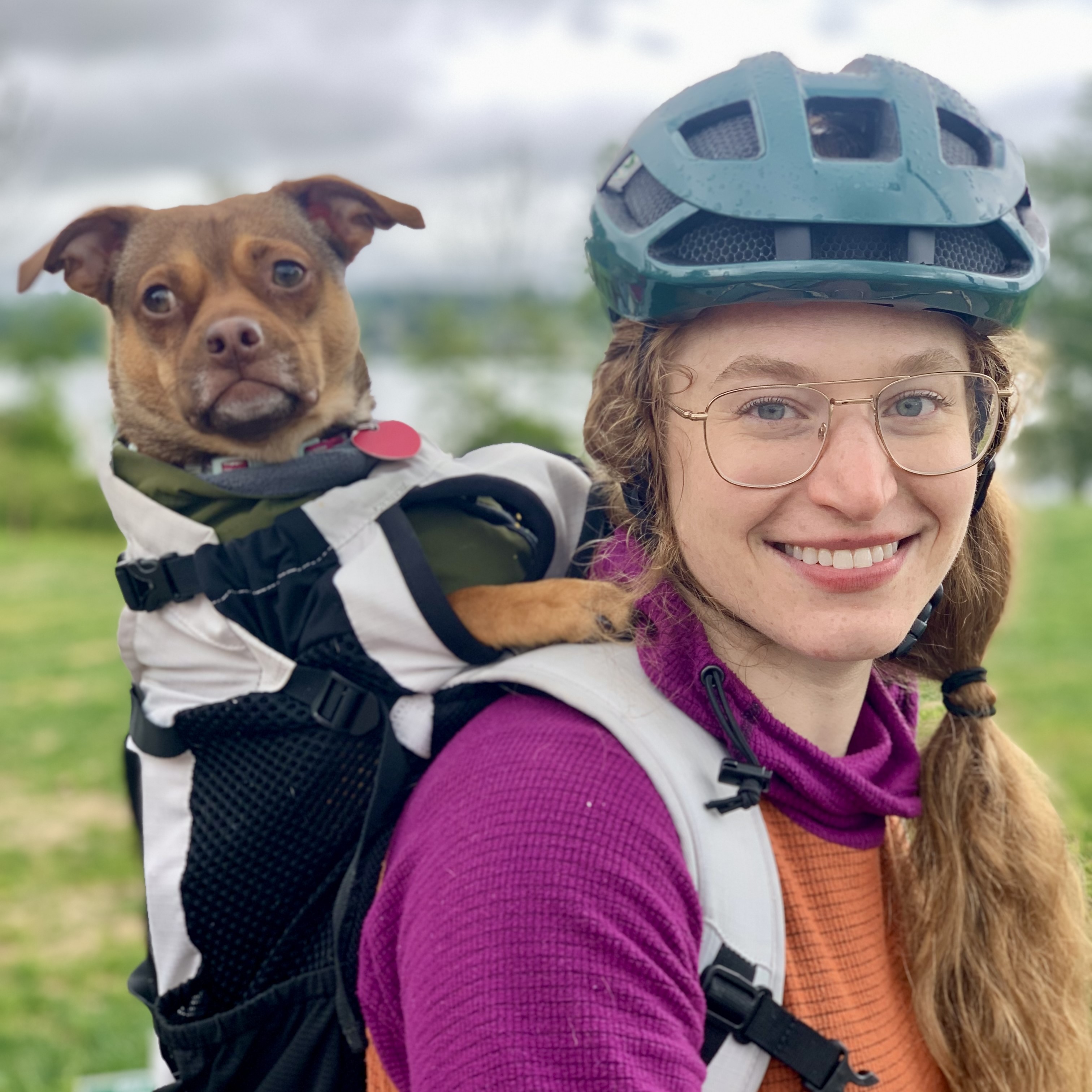 You can even bike with your dog