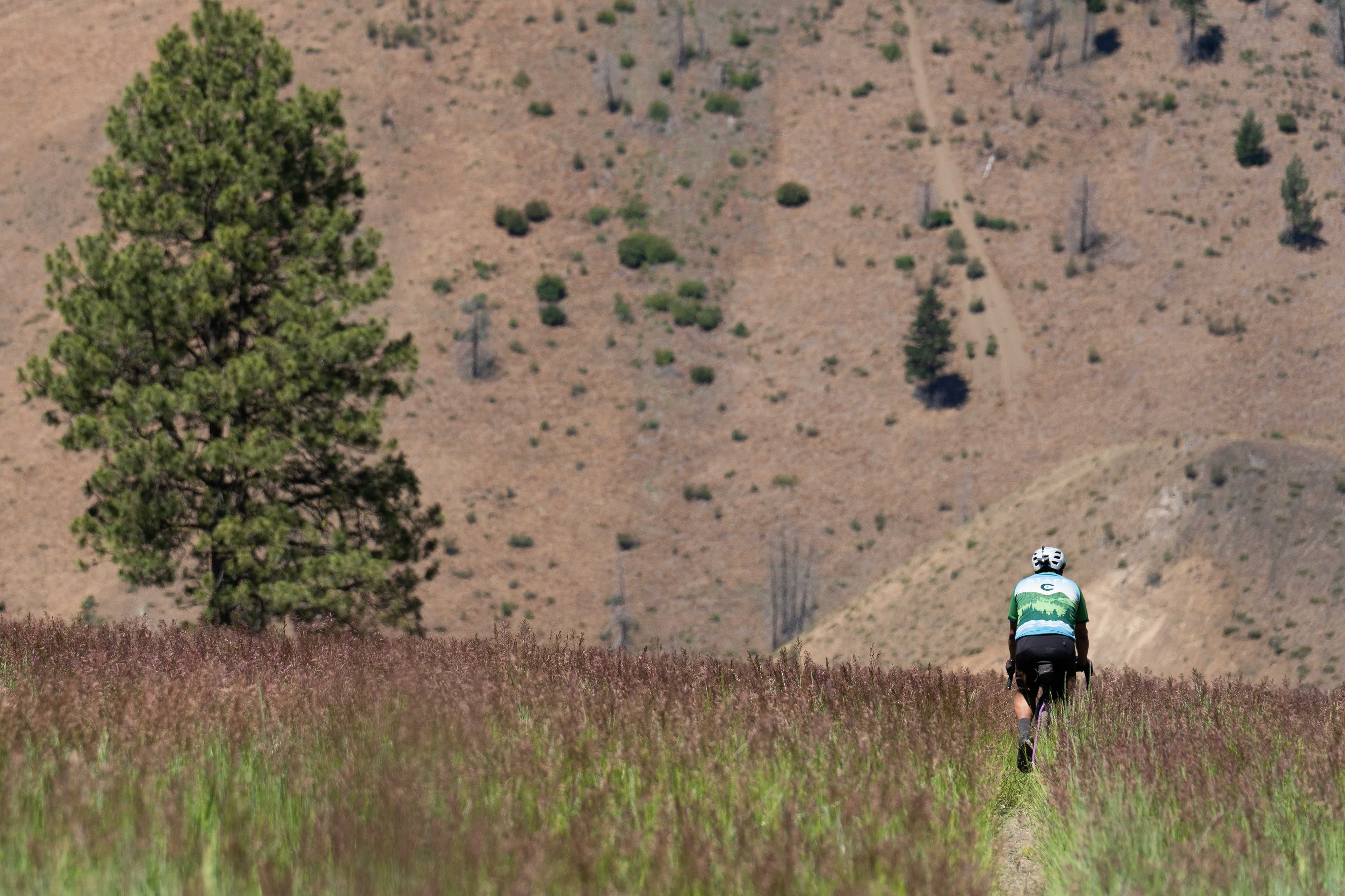 Lee rides through tall grass in Winthrop