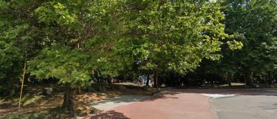 East side of Gas Works Park parking lot