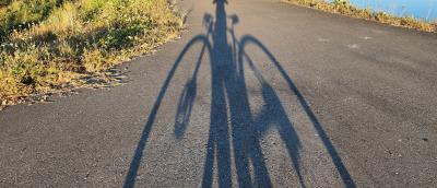 Bike Shadow