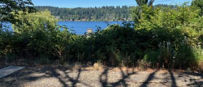 Mercer Island from Eastrail
