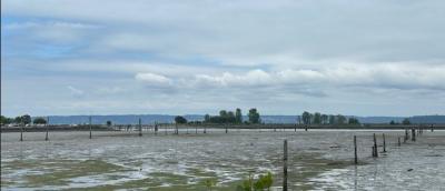 A low-tide view of Port Gardner with Jetty Island in the background