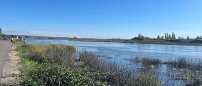 Ebey Waterfront Park