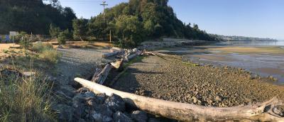 Pigeon Creek Beach