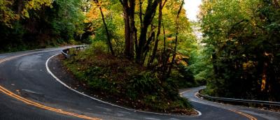 Zoo Hill Climb