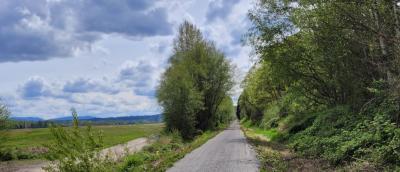 View of trail