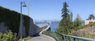 On the 520 trail