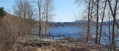 Lake Sammamish and Mt Rainier