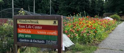 Photo of the entrance sign to Meadowbrook Playfield Park