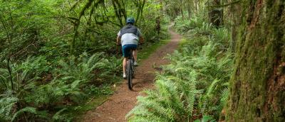 Biking on the Chickadee Trail