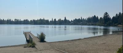 A sandy beach with a  short pier into a lake, with trees in the background