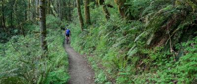 Biking on the Deep Creek Trail