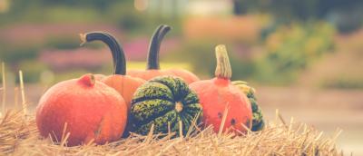 variety pumpkins on straw