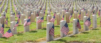 Flags at the veteran cemetery - Evergreen Washelli