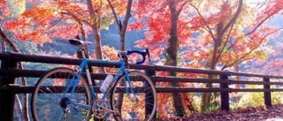 Early Winter Cycling