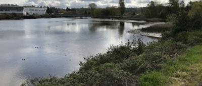 View of Duwamnish River