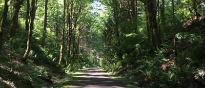 Snoqualmie Valley Trail