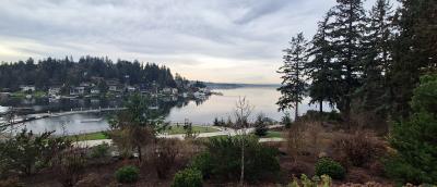 View from Meydenbaur Park