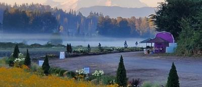 No better way to see the Great NW than on a bike!