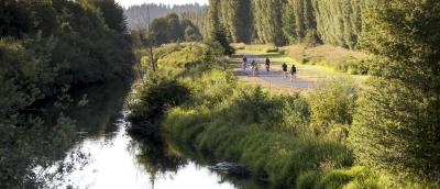 Sammamish River and Sammamish River trail