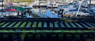 moss covered old railroad tracks cross in front of a view of boats on Lake Union under the Aurora Bridge