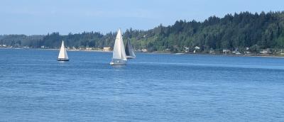 Port Orchard Bay