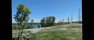 Road Bike with Lake Washington