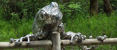 Frog Crossing