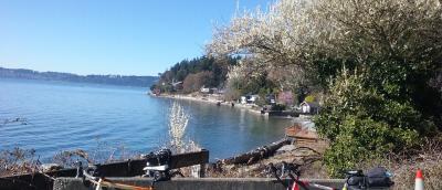 bikes leaning on concrete barrier with shoreline in background
