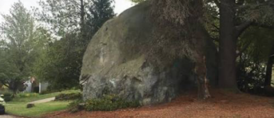 Wedgwood Rock