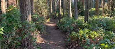 Saint Edwards Park