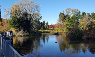 Meadowbrook Pond from bridge