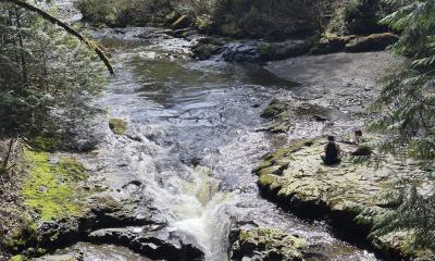 Top of Marckworth Falls