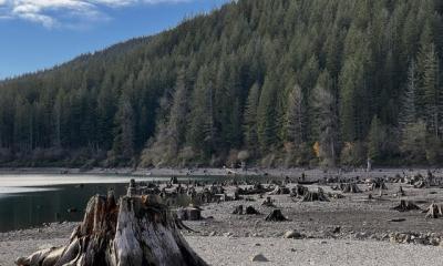 Rattlesnake Lake