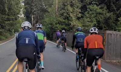 Cyclists riding in a paceline. 