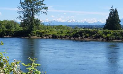 Snohomish River with Cascades in the Background