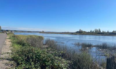 Ebey Waterfront Park