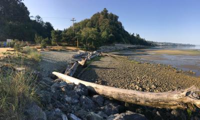 Pigeon Creek Beach