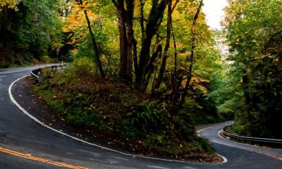 Zoo Hill Climb