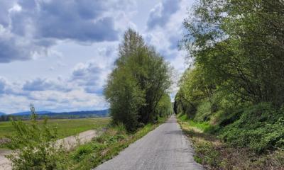 View of trail