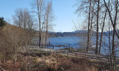 Lake Sammamish and Mt Rainier