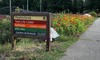 Photo of the entrance sign to Meadowbrook Playfield Park