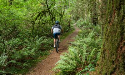 Biking on the Chickadee Trail