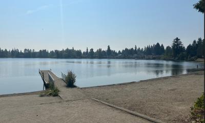 A sandy beach with a  short pier into a lake, with trees in the background