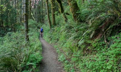 Biking on the Deep Creek Trail