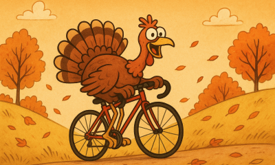 Turkey on a bike climbing a hill