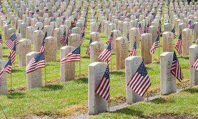 Flags at the veteran cemetery - Evergreen Washelli