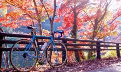 Early Winter Cycling