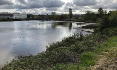 View of Duwamnish River